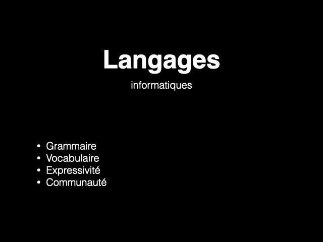 Langages informatiques : grammaire, vocabulaire, expressivité, communauté